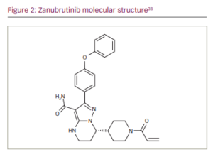 Zanubrutinib For The Treatment Of B-cell Malignancies - TouchONCOLOGY