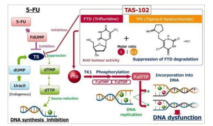 Figure 1: Comparison of the mechanisms of action of TAS-102 and 5-FU<sup>20</sup>