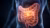A visualization of human health and digestion issues, featuring a medical glow around the anatomy of the stomach and intestines