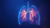 Abstract Lungs with red human bronchial tree structure.