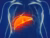 3d rendered medically accurate illustration of a womans liver