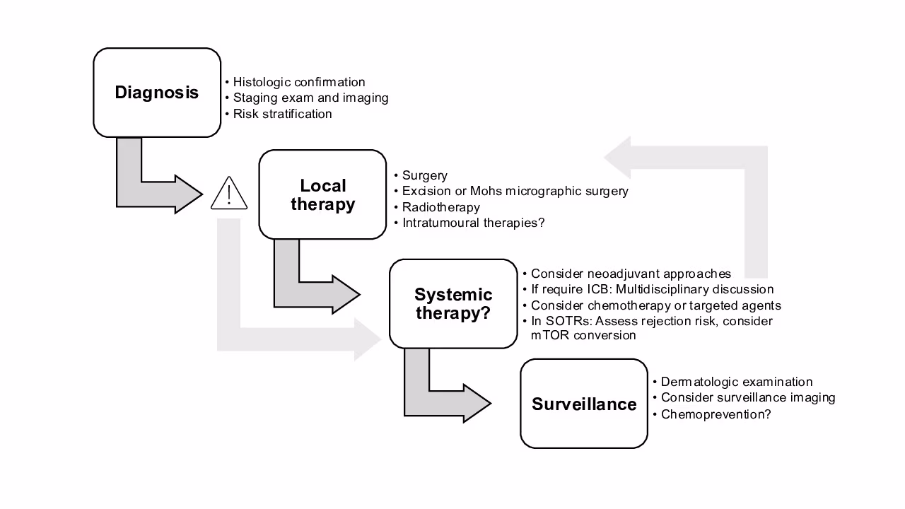 Figure 1: Multidisciplinary skin cancer management in individuals with acquired immunosuppression