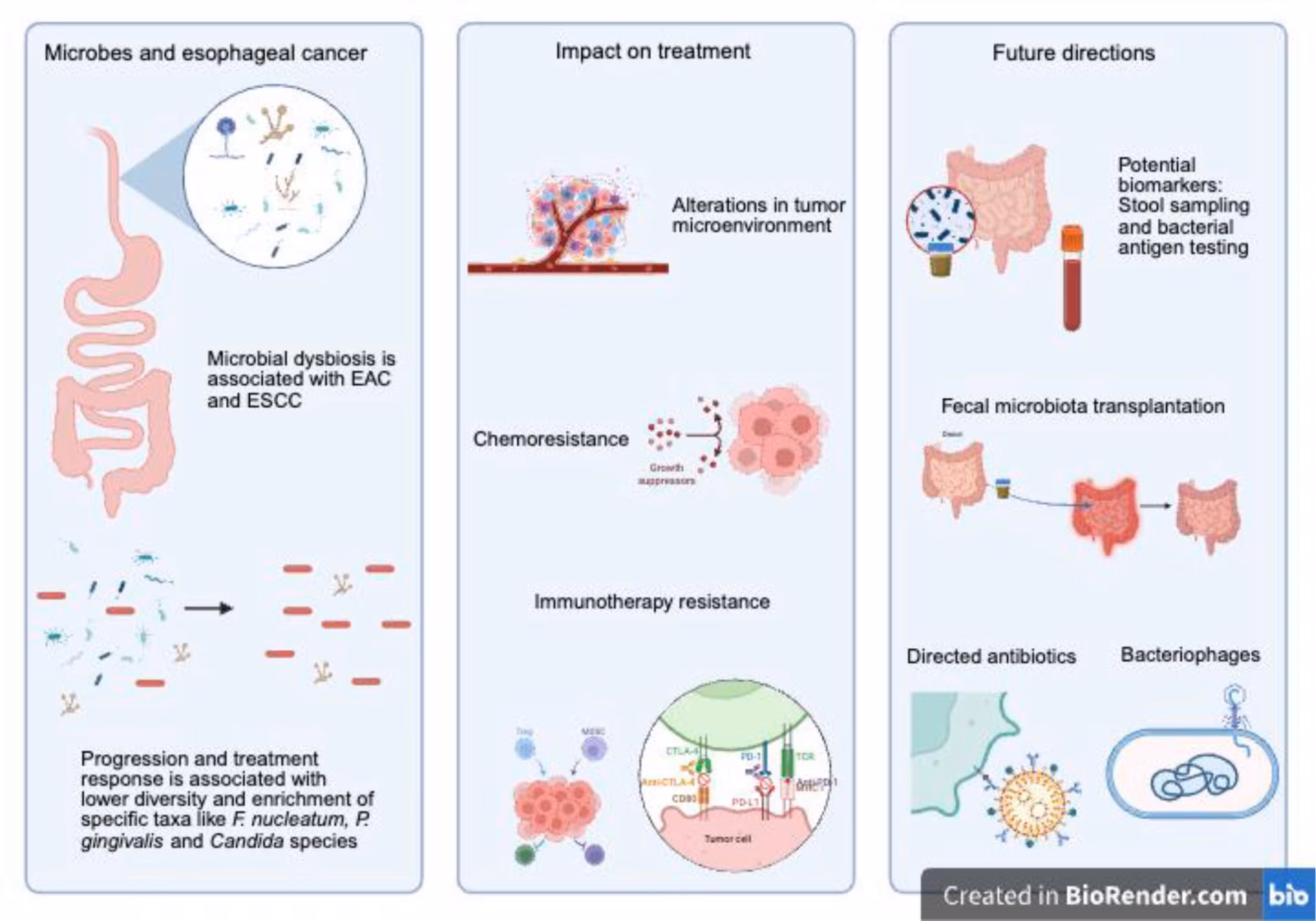 Figure 1: Graphical abstract